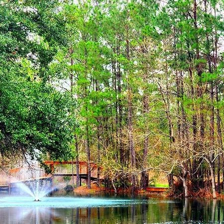 Waterfront Houston Hide Out In A Magical Forest Waller Εξωτερικό φωτογραφία